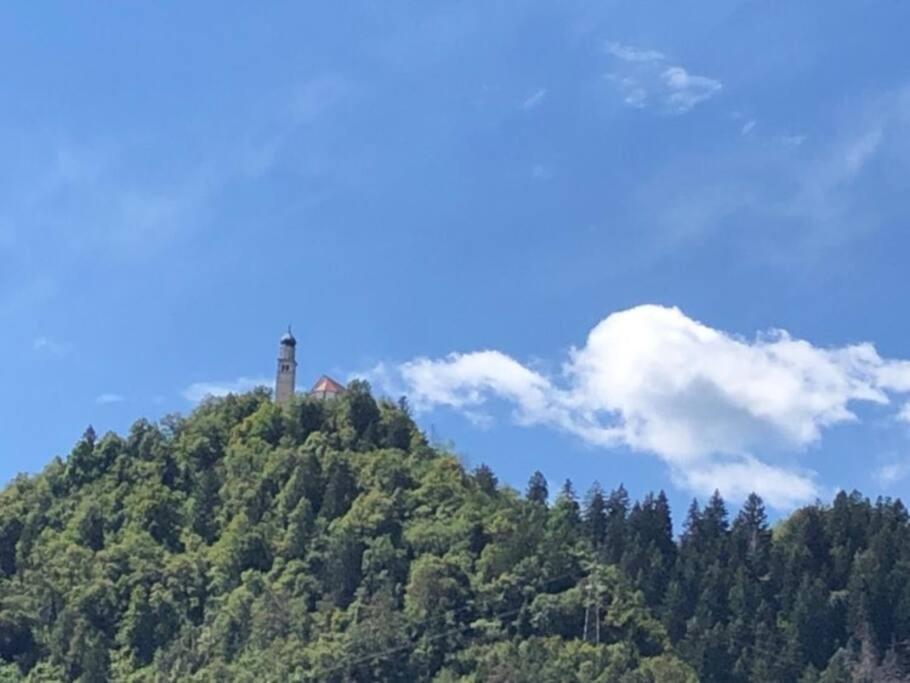 Holiday Guesthouse La Casina Di Butzi Pet Friendly - Terme Di Arta - Zoncolan Arta Terme Exterior foto